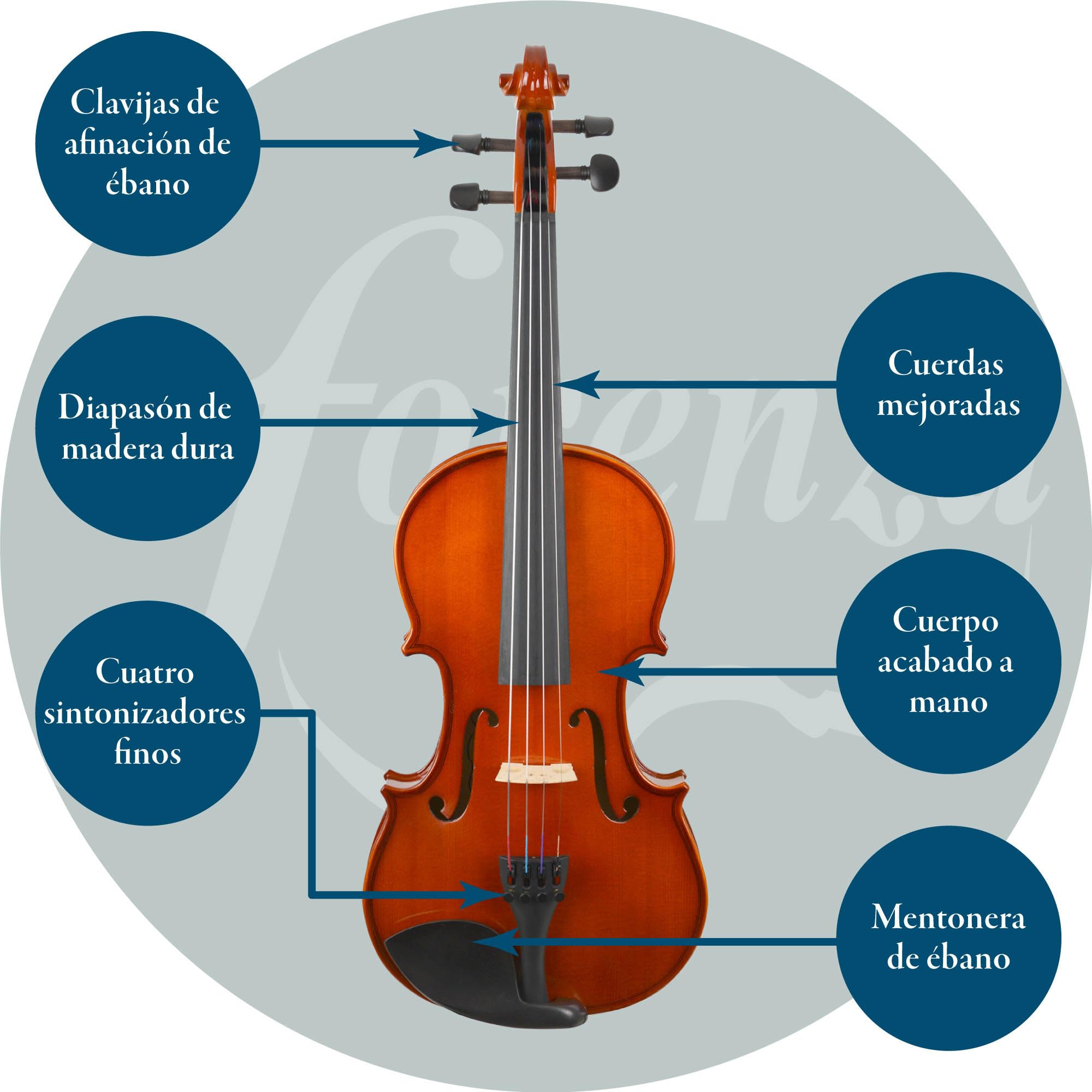 Forenza Prima, Conjunto De Violín De Tamaño 1/2 Con Diapasón De Madera Dura, Clavijas De Ébano, Estuche Rígido Liviano, Arco De Madera, Colofonia, Cuerdas Con Núcleo De Acero
