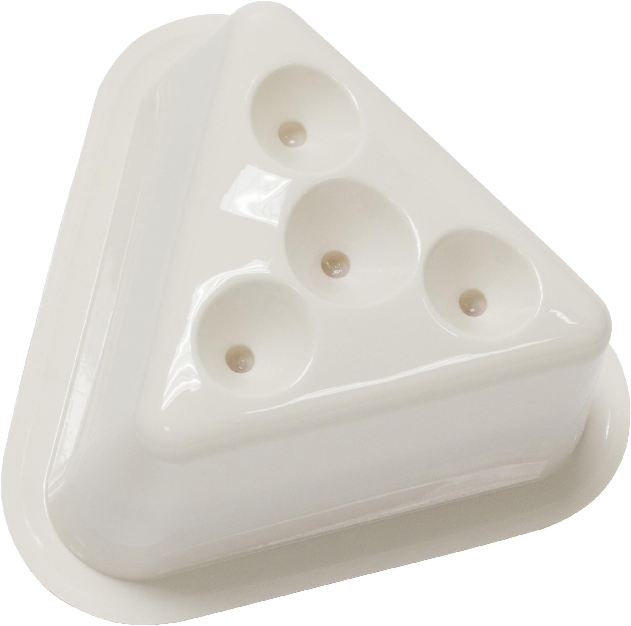 Natural Catch Fruit Fly Traps - 2 Traps