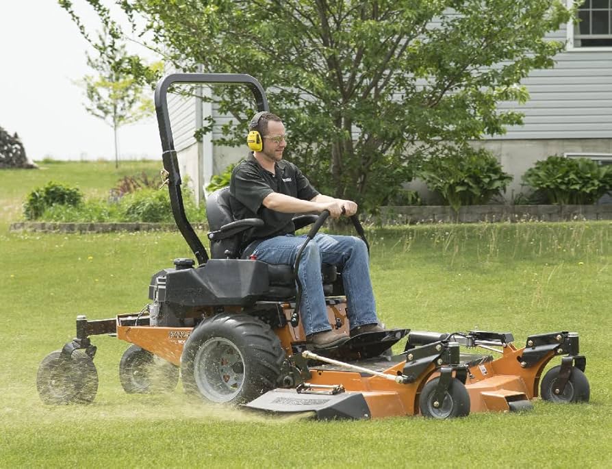 まきの木 マキの木