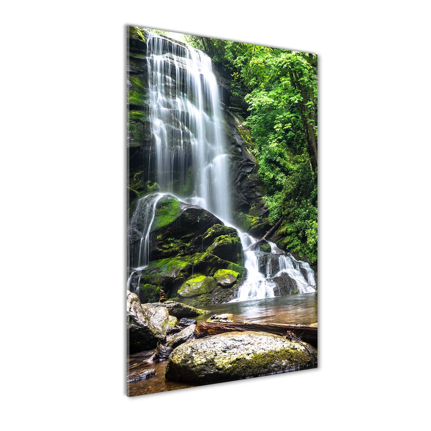 Impression sur verre 60x120 cm paysage de jungle pour décoration salon