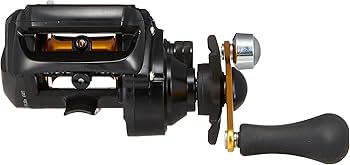 Amazon | ダイワ(DAIWA) 両軸リール ライトゲームICV 200H-L (左