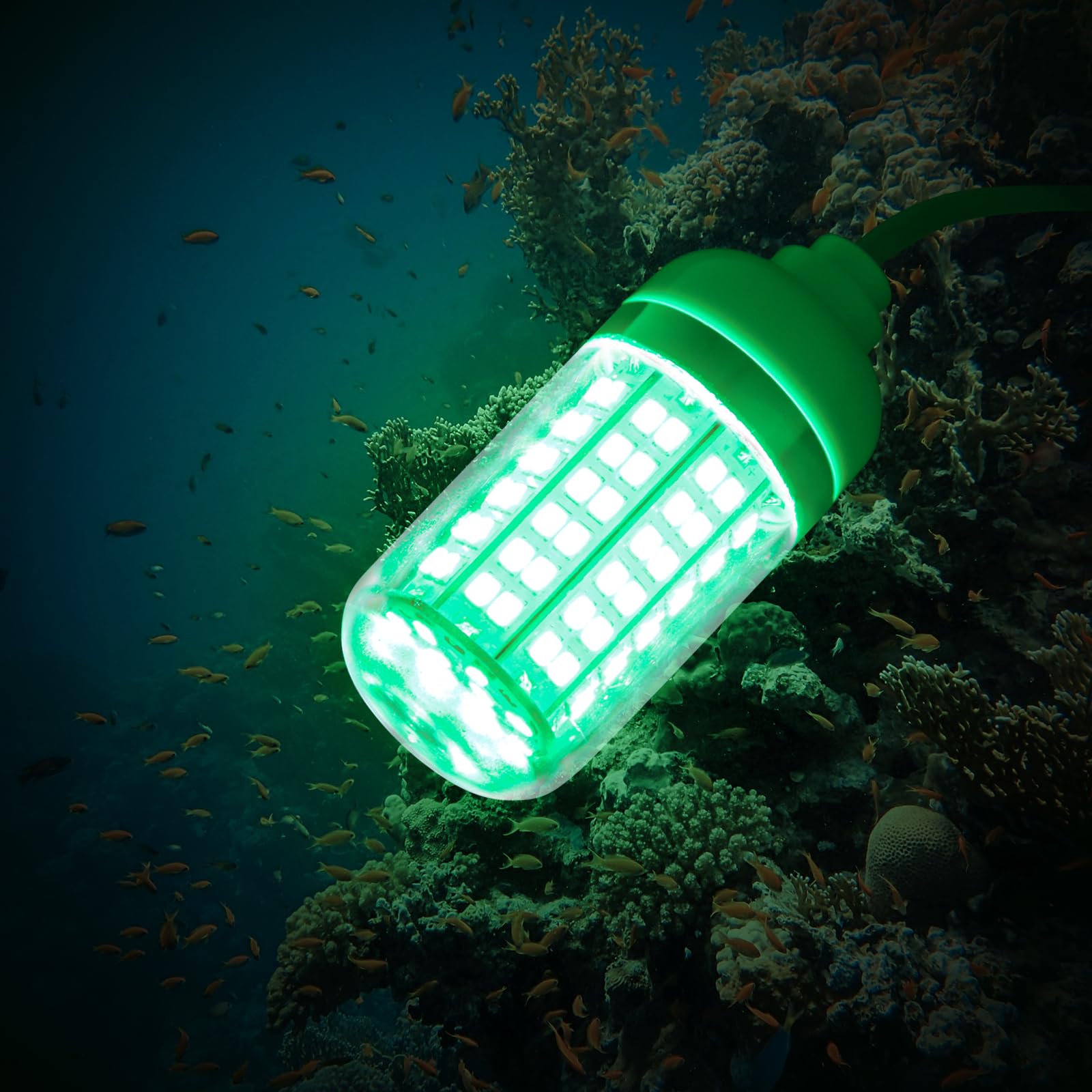 最終値下げ！イカ釣り用ライト大40cm ２個セット 楽天市場】集魚灯 12cm 4個セット 5カラー 高輝度LED 水深約300m