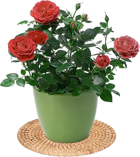 Miniatura 5 de Manteles individuales redondos tejidos, manteles individuales de mimbre natural, resistentes al calor, antideslizantes, manteles redondos trenzados