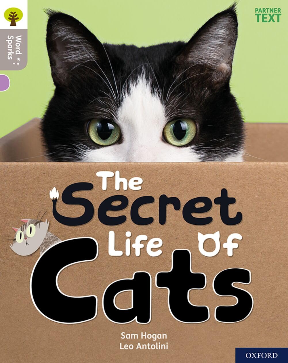 Oxford Reading Tree Word Sparks: Level 1: The Secret Life of Cats by Sam Hogan