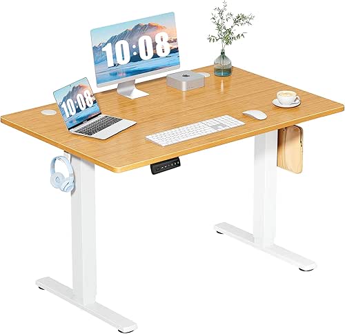 DUMOS 48 Inch Electric Standing Desk Height Adjustable, Sit to