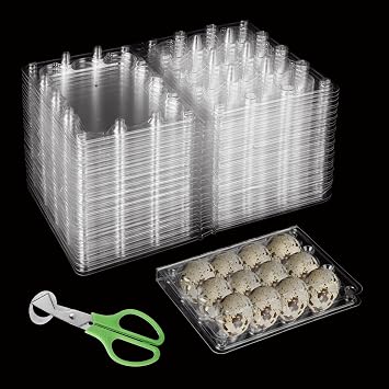 MIVIDE 150 Pack Quail Egg Cartons, 12 Grids Small Clear Plastic Egg Trays, Bulk Eggs Carton Holders