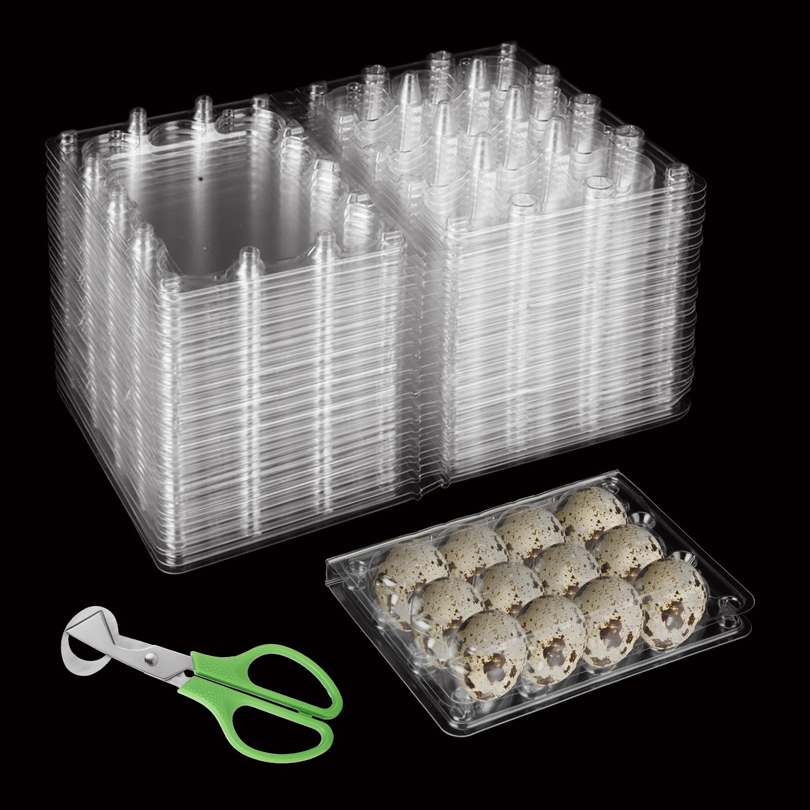 Boîtes à œufs de caille haut de gamme MIVIDE | Protection transparente 12 grilles