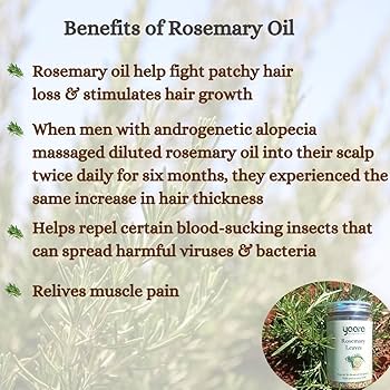 benefits of rosemary () benefits of rosemary