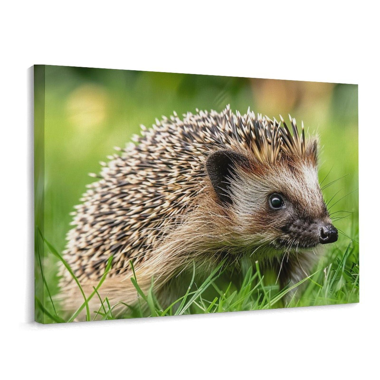 Canvas Wall Art for Living Room Prints Aesthetic Poster Canvas Paintings Prints Foraging on The Grass Pictures ArtWork Office Wall Decor Modern Abstract Wall Art for Bedroom Home Decor 30x40 Cm