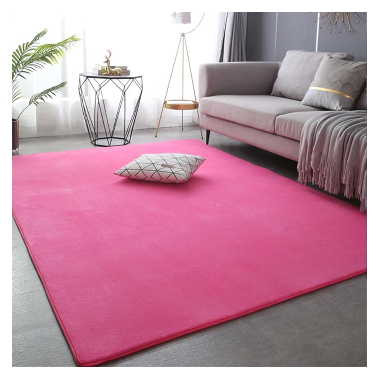 Tapis en molleton de corail épais pour sol froid de chambre
