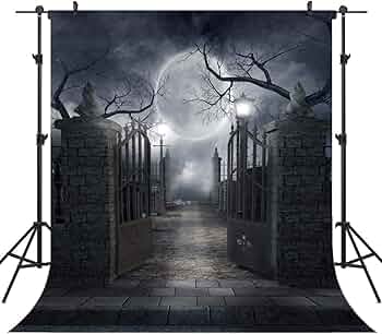 OUYIDA 10X10FT Halloween Theme Pictorial Cloth Customized Photography Backdrop Background Studio Prop TP17C