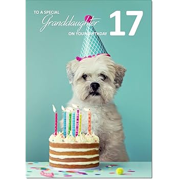granddaughter 17th birthday card
