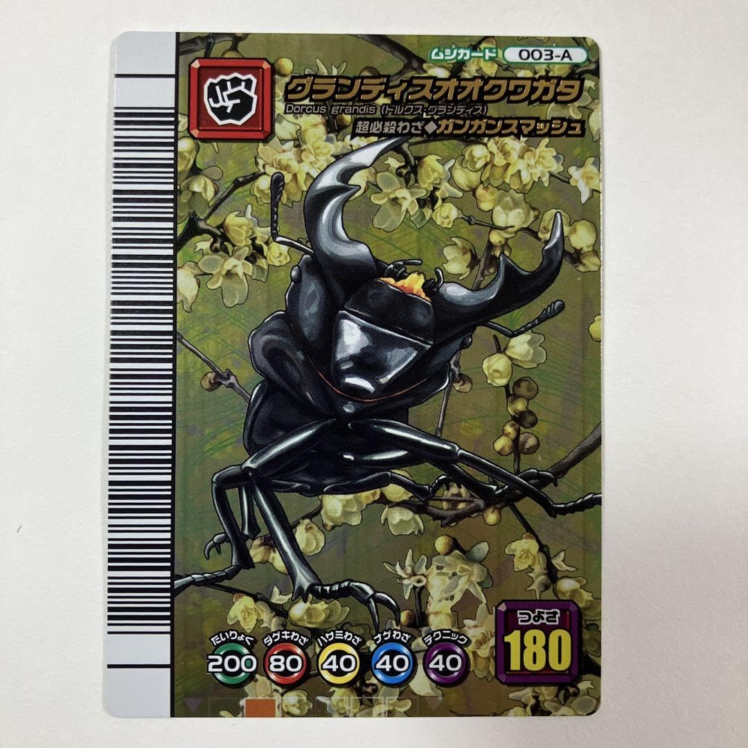 Amazon.co.jp: ムシキング グランディスオオクワガタ 5周年