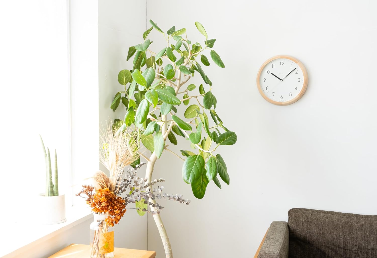 Wall Clock Japanese Handcrafted Round Solid Wood Wall Clock 12 Inch Silent Non-Ticking Battery Operated Modern Decorative for Living Room Bedroom Office Brunch Clock CH-056 (Natural Milk)