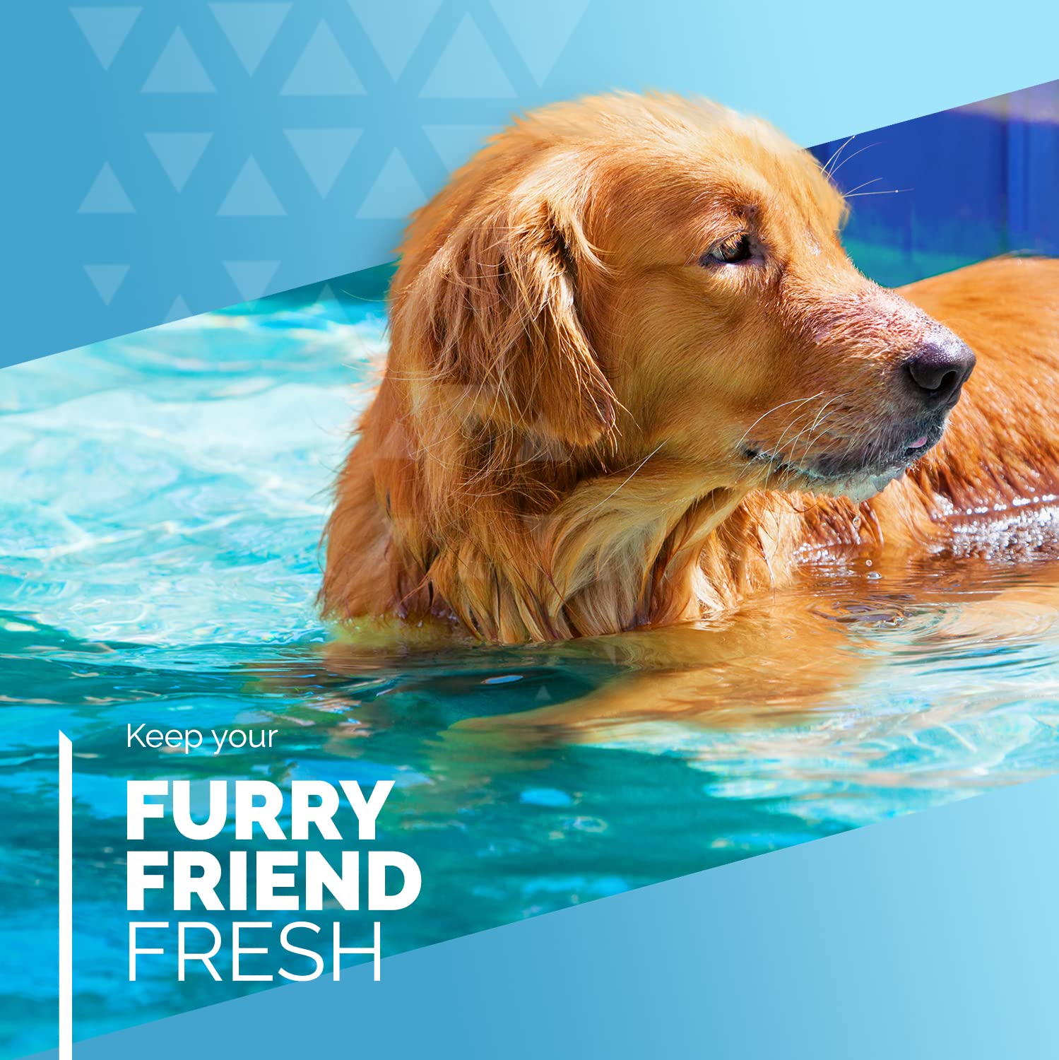 Furdreams Faltbares Haustier-Schwimmbecken, Hartplastik-Hundebadewanne, tragbares, multifunktionales, rutschfestes PVC-Kinderbecken für den Außenbereich enießen Sie Sommerglanz in Ihrem Garten (Large)