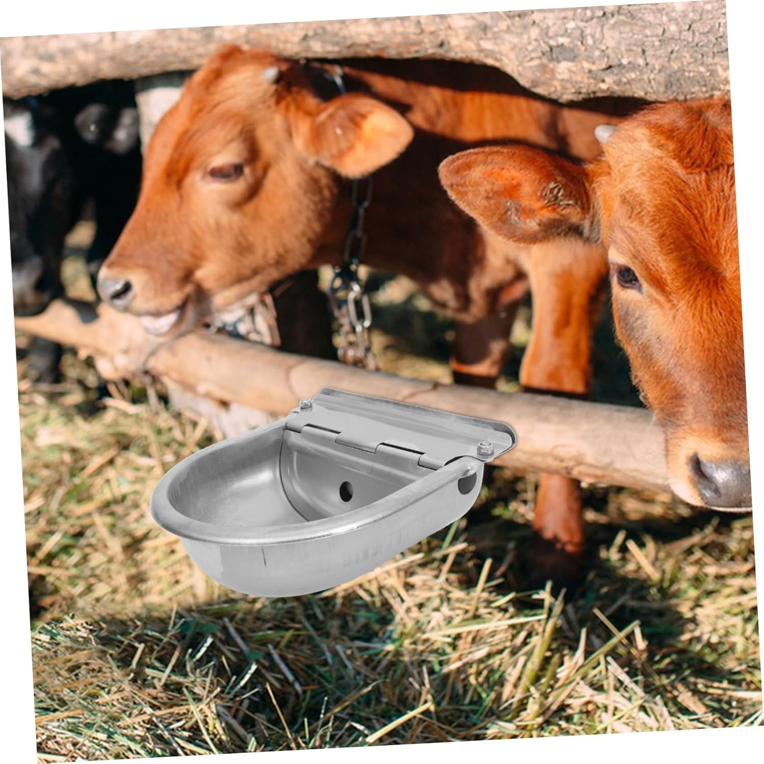 BESPORTBLE Automatic Stainless Steel Cattle Drinking Bowl for Livestock Refillable Water Feeder with Float Valve Suitable for Cows and Sheep