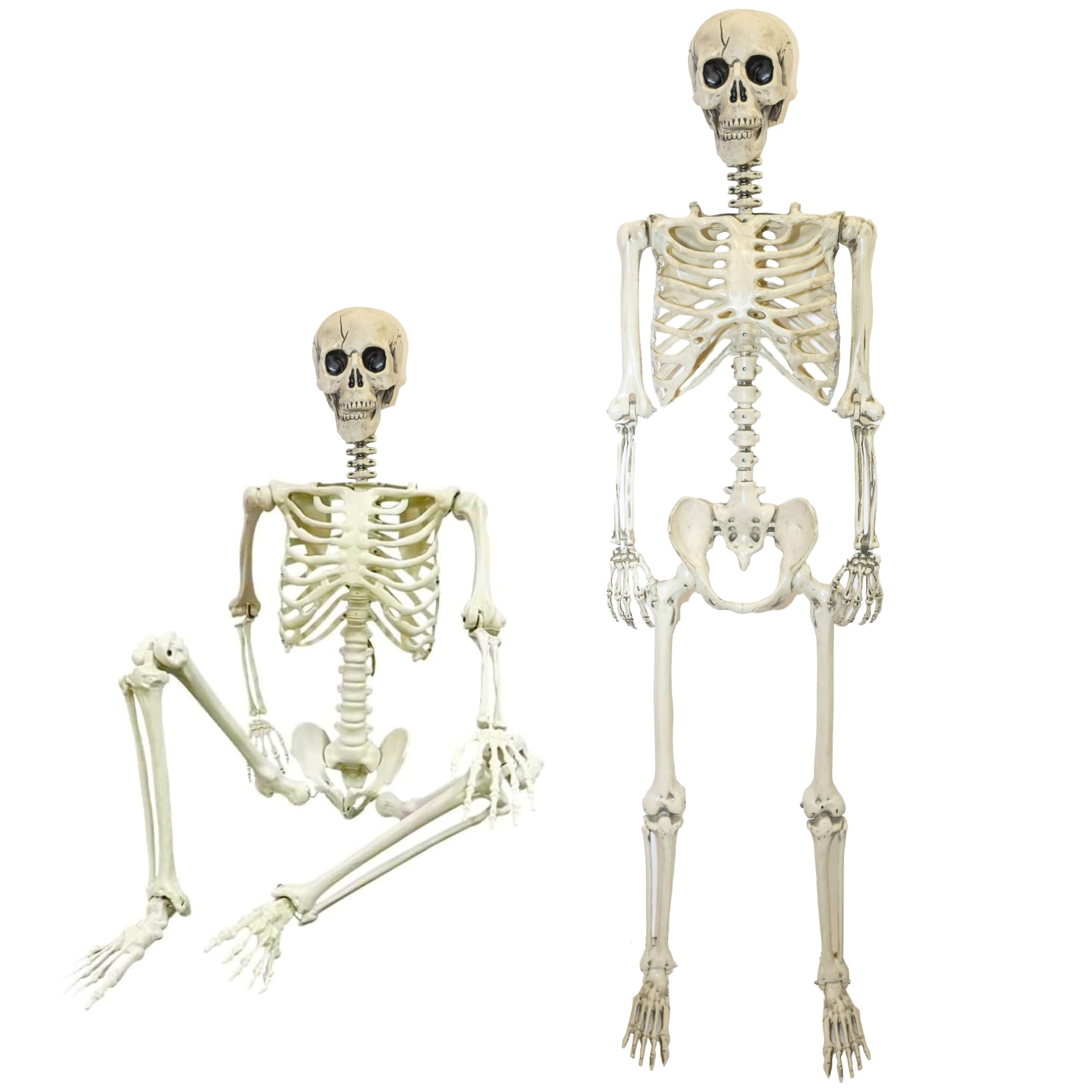 Halloween Decoration Life Size Poseable Skeleton 165cm – Realistic Human Skeleton Prop with Movable Joints -Haunted House Graveyard Scene Halloween Pirate Horror Themed Parties
