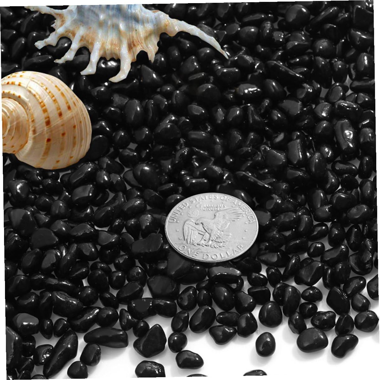GALPADA Ghiaia per Acquario Nera 1900 G Ciottoli Decorativi Sicuri per Pesci Pietre Naturali per Acquari D’Acqua e Decorazioni Paesaggistiche per Acquari e Terrari