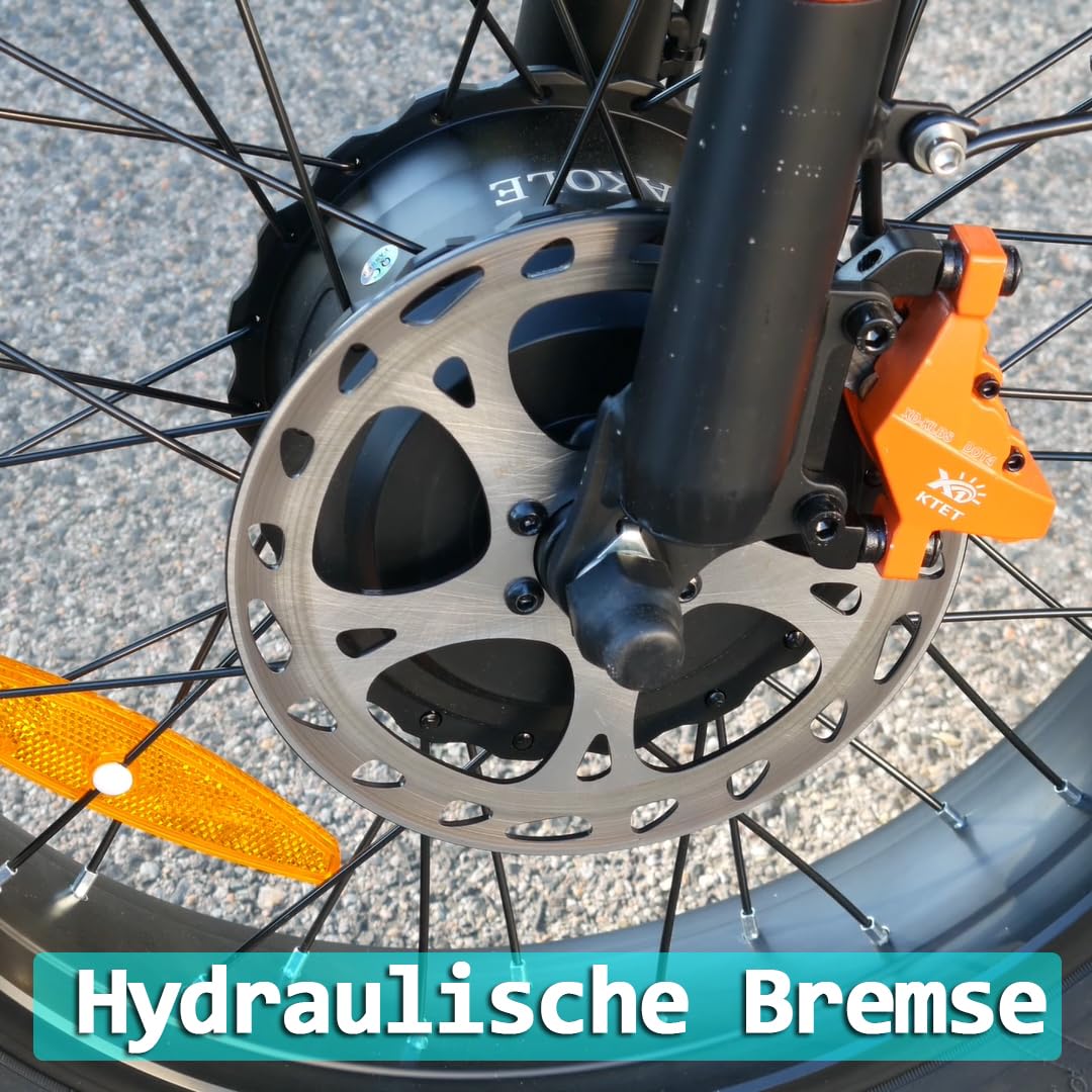 CO20 Max E-Bike Klapprad Doppelmotor mit 48V 20Ah Akku bis zu 120km | 20x4.0 Zoll, Hydraulische Bremse, 7 Gang Schaltwerk, Vollfederung Fatbike Pedelec für Damen u. Herren