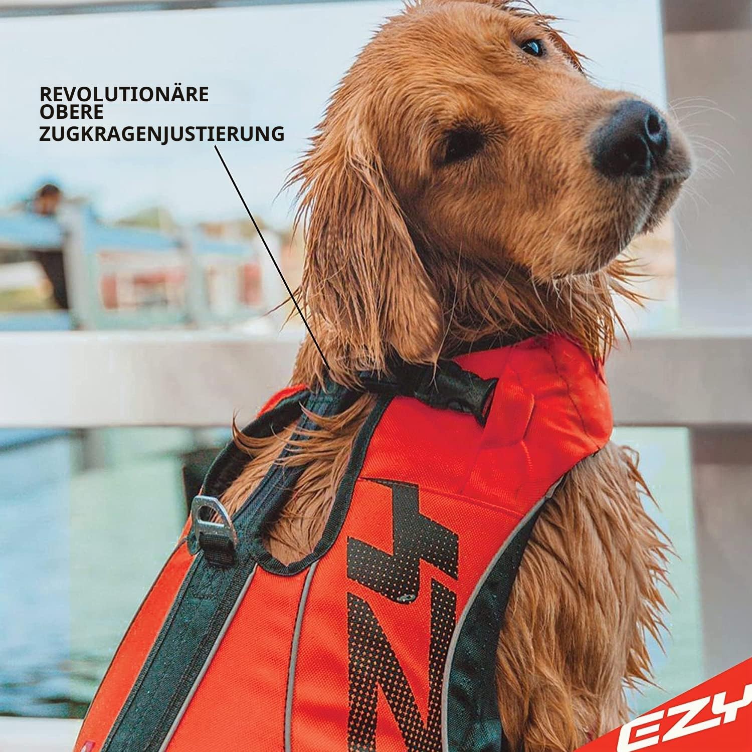 EzyDog Schwimmweste Hund – Premium Schwimmhilfe für kleine, mittlere & große Hunde – DFD X2 Boost Rettungsweste für Pool, Strand & Boot (S, Rot)