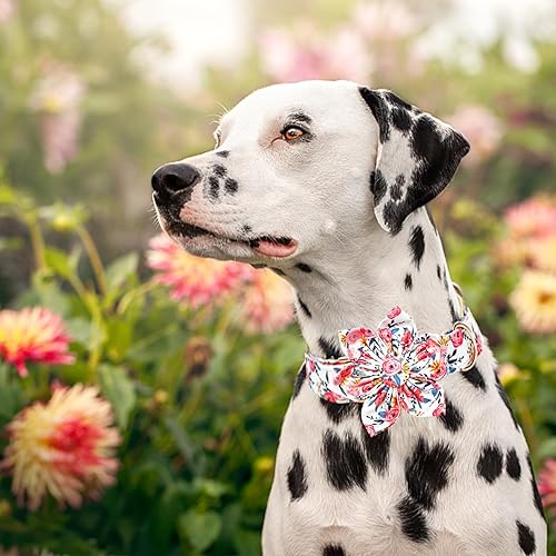 Miniatura 95 de Lionheart glory Collar de perro con bandera estadounidense, collar de flores para perro del 4 de julio, resistente y ajustable, collar patriótico