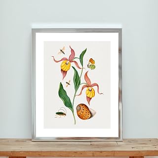 Vintage DIGITAL Wall Art Printable, Lady's Slipper Orchid, Orange Tip, Soldier Fly, Longhorned Beetle and Shell Painting Art, Dining Room Wall Decor Ideas, Art Deco Frameless 8x10inch