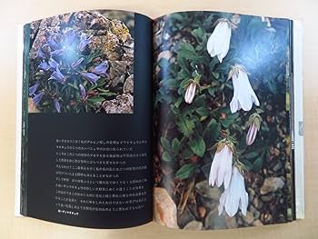 Amazon.co.jp: 田淵行男 希少写真集2冊セット『山の意匠 田淵行