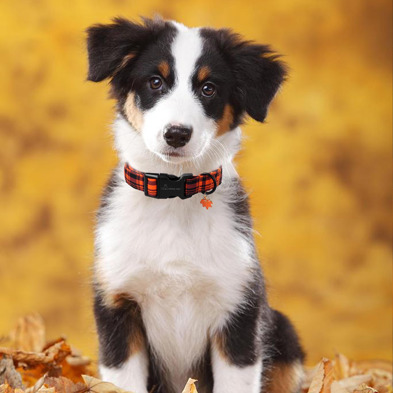 ARING PET Halloween Dog Collar, Cute Autumn Plaid Dog Collar - Image 4