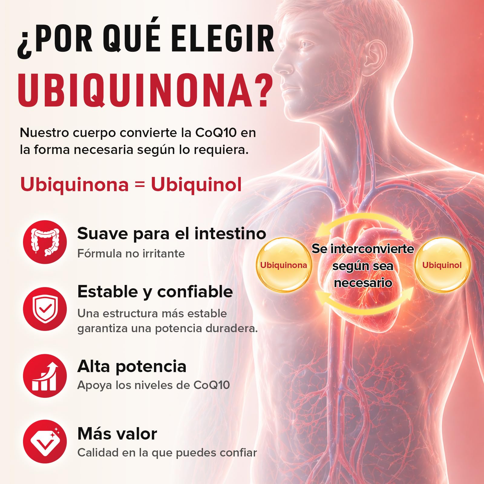 CoQ10 con L-Glutatión Cápsulas de 1000 mg(2 Paquetes) - Coenzima Q10 100% Fermentada, Coenzime Q10 Altamente Concentrada, Coenzima Q10 Antioxidante, Sin Soja, Sin Gluten, Vegano