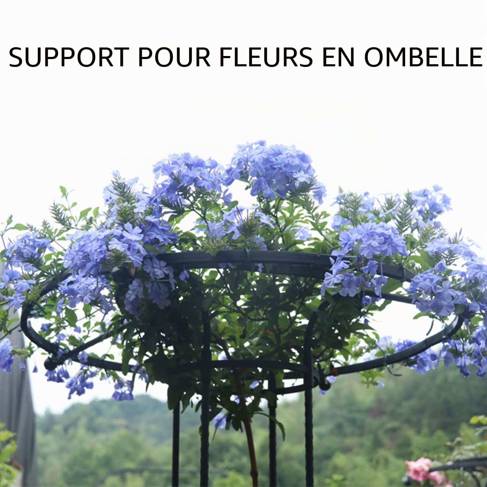 Srliya Cadre d'escalade pour Plantes de Jardin, Treillis de Jardin Vertical en Métal, Treillis d'escalade pour Parapluie en Métal, Vignes Grimpantes et Supports de Plantes pour (210CM)