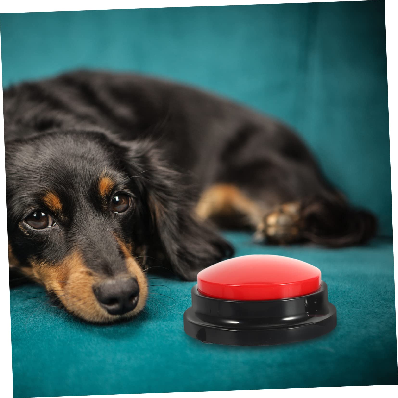 BESPORTBLE Lot De 2 Boutons Enregistrables pour Animaux De Compagnie Jouets Interactifs pour Dressage De Chiens Fournitures pour Animaux De Compagnie 2 Pièces X 2