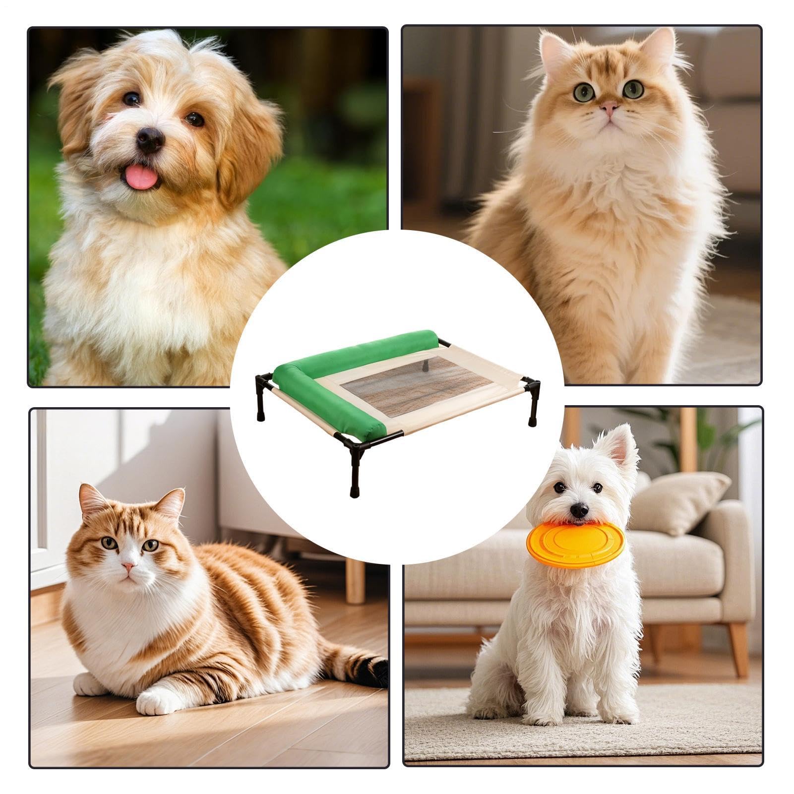 Cuccia Cani Rialzata Forniture Sonno Lavabili Portatili Animali | Cuccia Rialzata Confortevole Gatti per Razze Piccole Medie Casa Interni Esterni Giardino Cortile Campeggio Viaggio