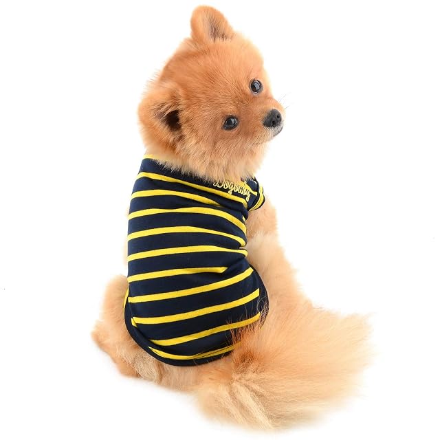 Foto 2 de 7 de PAIDEFUL Ropa para perros pequeños, gatos, niños y niñas, camiseta de verano clásica a rayas para cachorros
