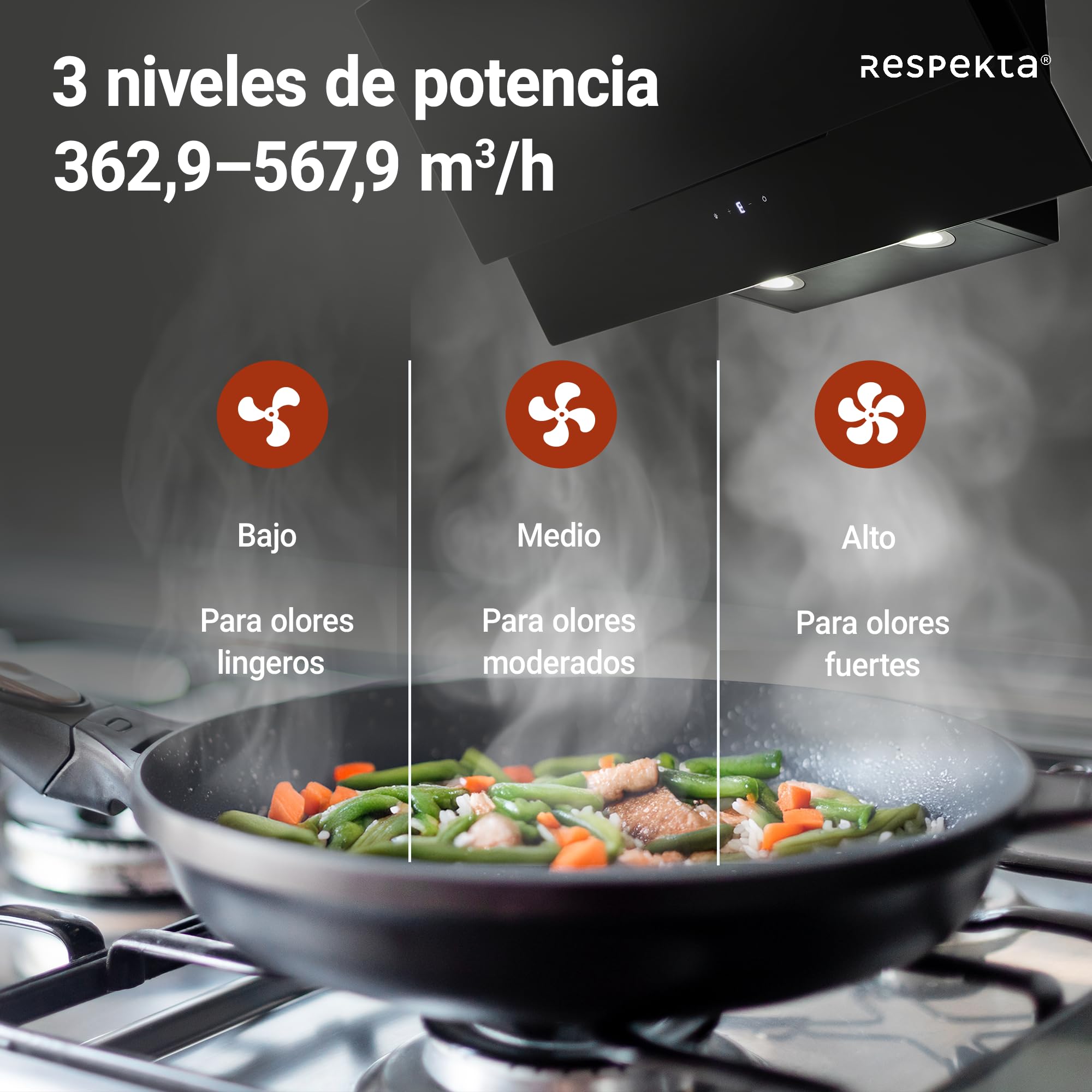 Respekta Campana inclinada, 90 cm, CH66038-90SAM, negro