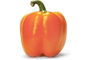 Organic Yellow Bell Pepper