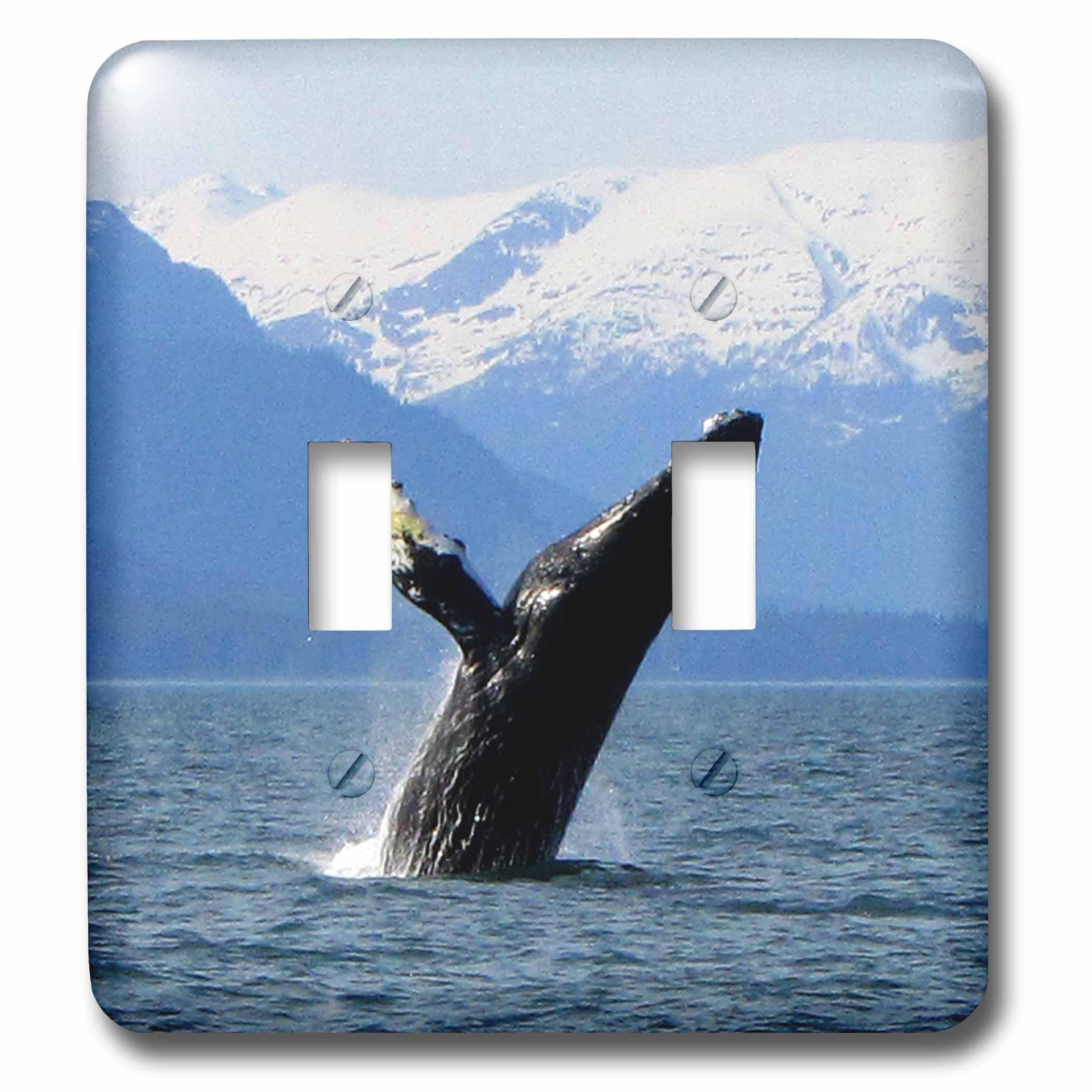Double interrupteur à bascule haute finition 3dRose baleine d'Alaska