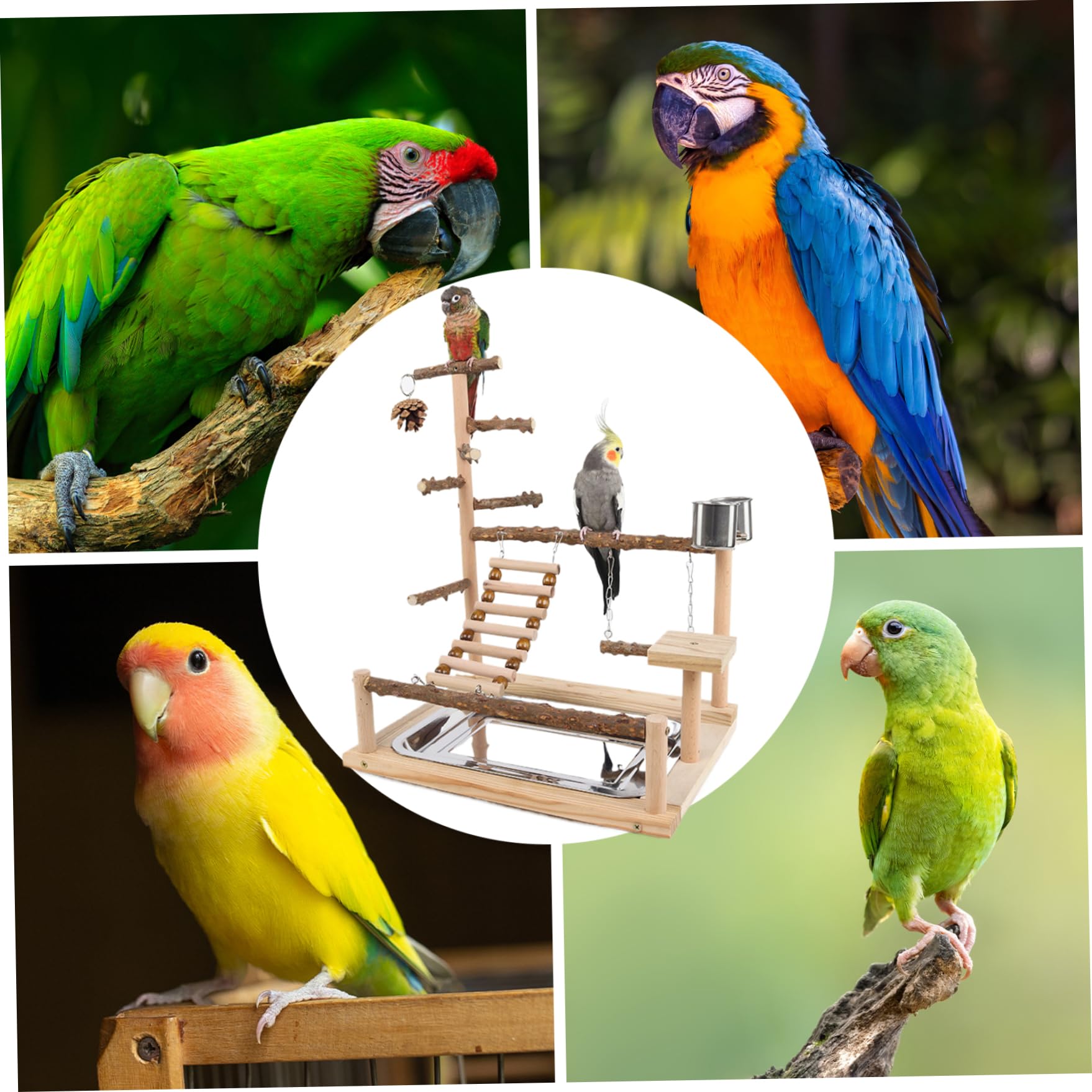 Support de perroquet en bois naturel pour aire de jeux pour oiseaux, avec tasse d'alimentation, support de perche pour oiseaux, jouets pour perruches, perche polyvalente 14.6*10.2*17.7 pouces