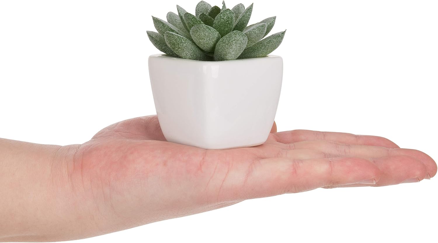 MyGift Set of 4 Faux Succulents in Mini White Square Ceramic Planter Pots image 3