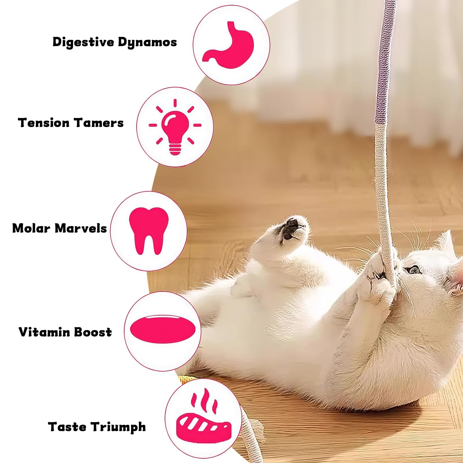 GegXcn 6Pcs Cat Chew Toy, Kitten Teething Toys,Durable Kitten Chew Toys & Soft Cotton Ropes - Image 4