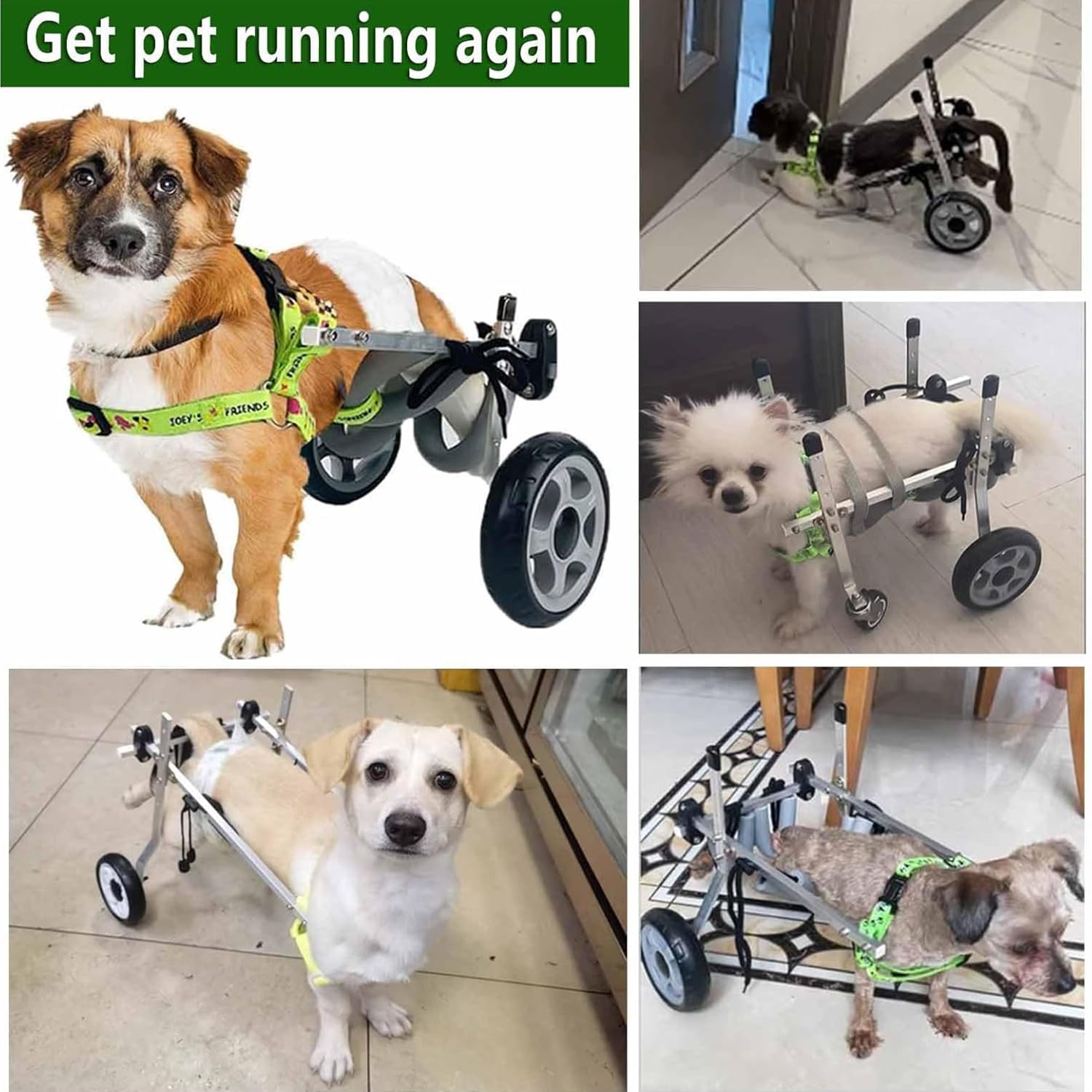Hunderollstuhl,ZweiräDrige RollstüHle,Verstellbarer Rollstuhl FüR Kleine Haustiere Mit Hinterbeinen,Rehabilitation Der Beine Bei Alterung,Verletzung,Arthritis,Schwacher Hund/Katze/Haustier(XS,Two whee