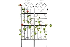 Giantex 2 Pack 6ft Trellis for Climbing Plants