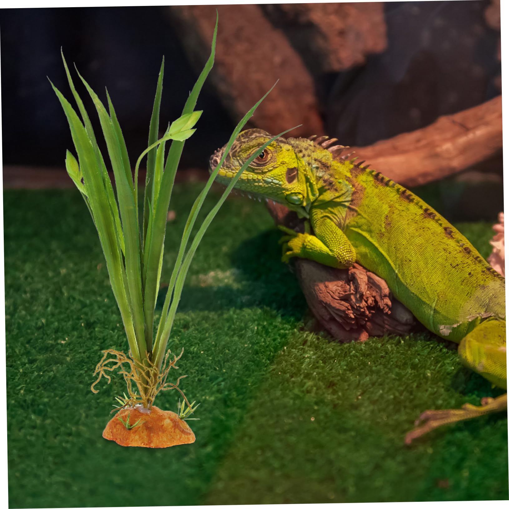 Mipcase 4pezzi Terrario Per Rettili Artificiali Realistiche Decorazione Per Habitat Rettili Facile Per Lucertole Draghi e Esotici