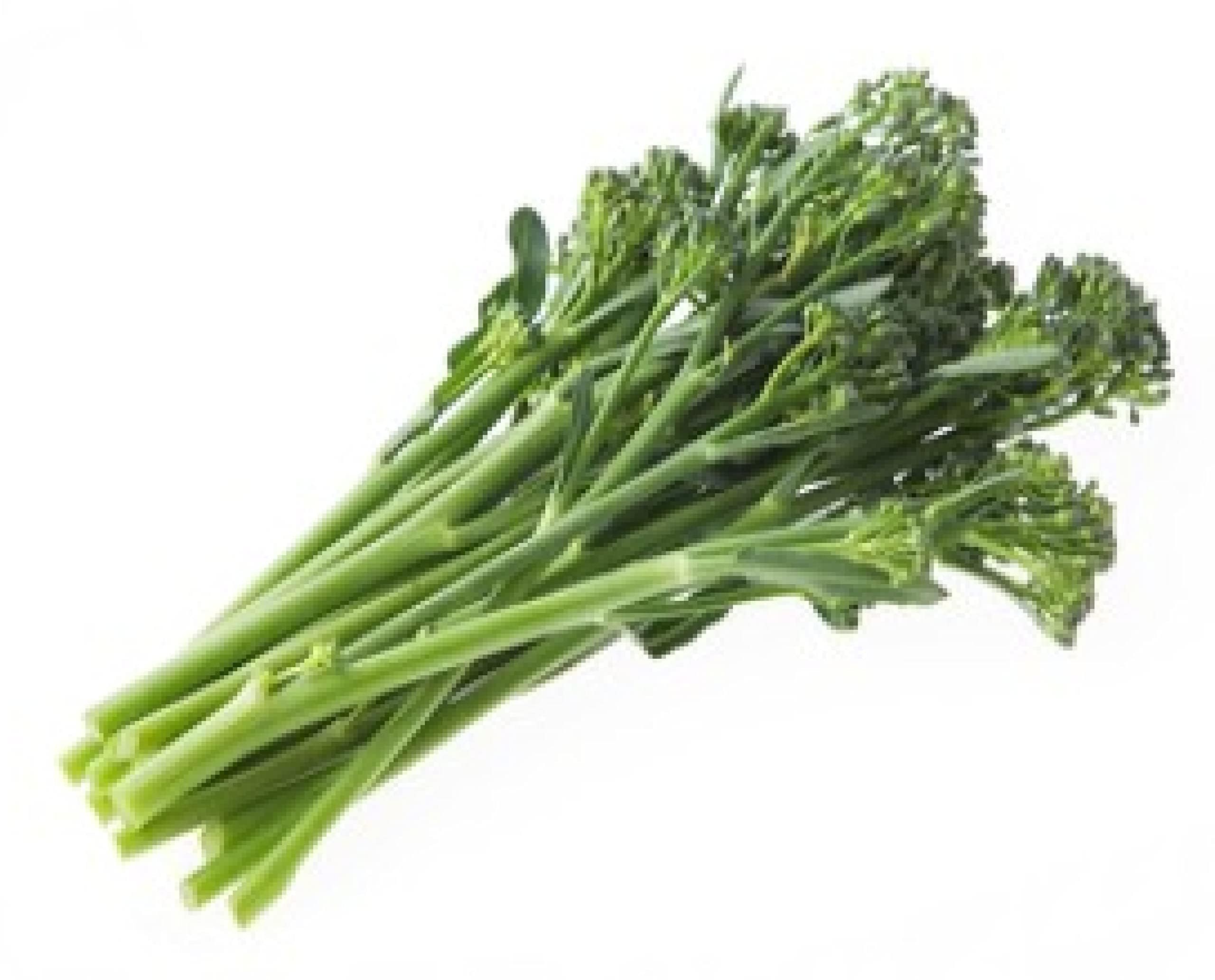 Broccoli Plants, 'Green Magic', 12 x Full Plant Pack, Vegetable Plants, Broccoli, Fresh Garden Produce, Grow Your Own, Garden Ready and Ready to Plant, Premium Quality Vegetables