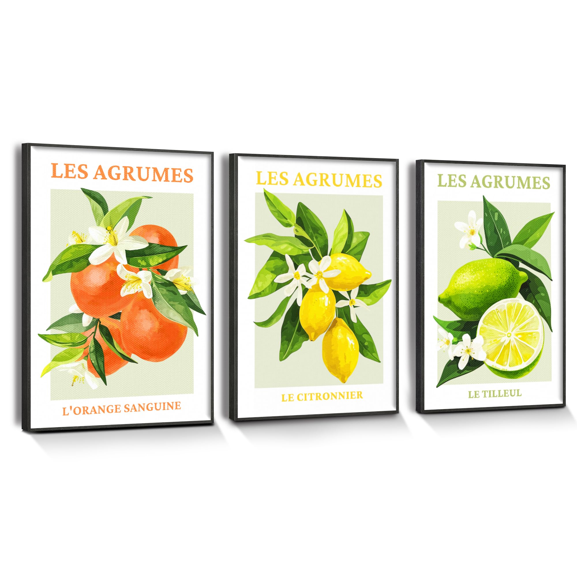 hyidecorart Citrus Fruit Canvas Wall Art with Black Frame