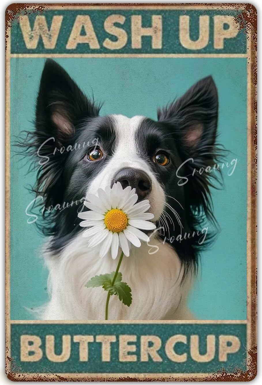 Anceky Border Collie Funny Bathroom Decor Metal Tin Sign Wash Up Buttercup Poster Vintage Metal Plaque Retro Wall Decor For Bathroom Restaurant Farm Bedroom Cafe School 12x16 Inch