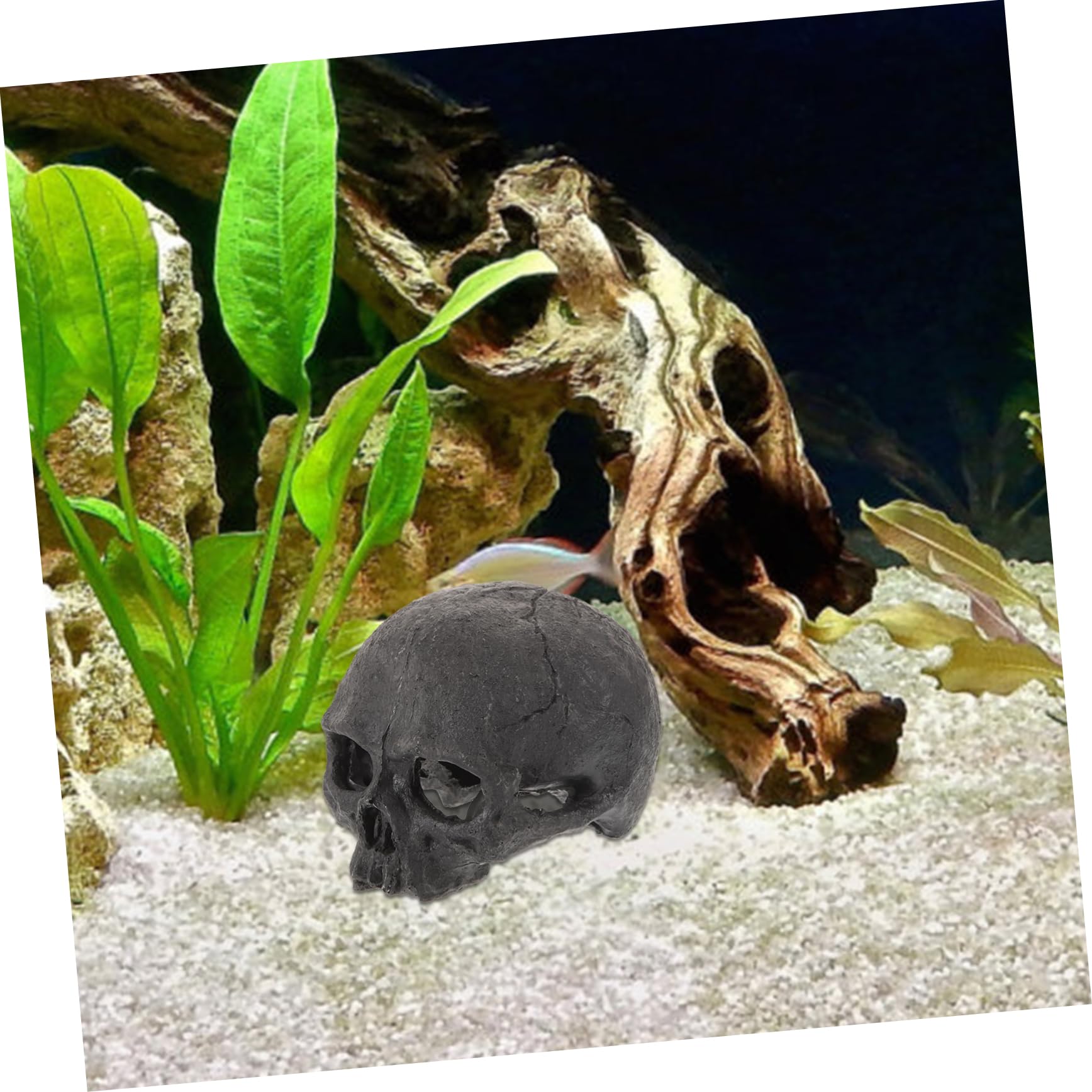 CLMJHG FCXDMY Acquario Decorazione Teschio Statuetta in Resina Teschio Nascondiglio per Acquari e Rettili Ornamento Realistico per Grotta Resistente Sicuro per Pesci e Cingolati