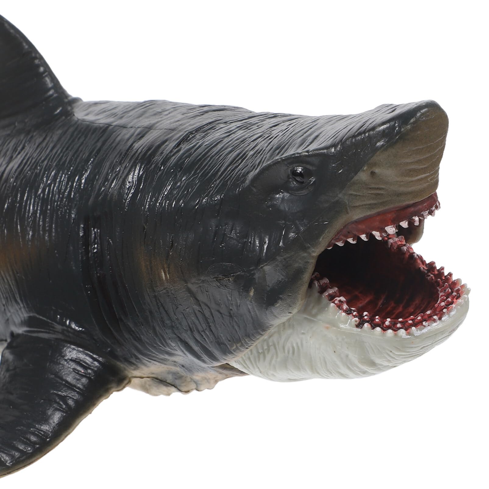 Amazon.co.jp: HOMSFOU サメ おもちゃ リアル サメ 置物