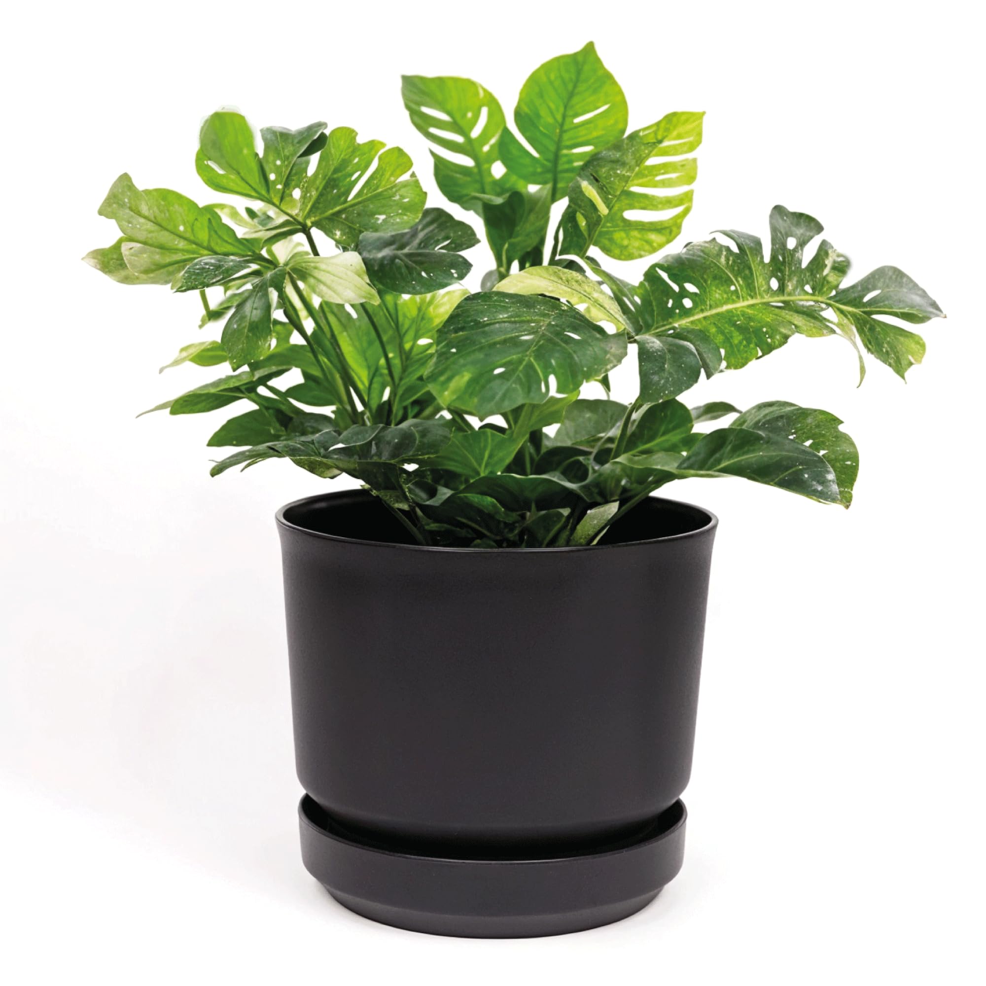 Elly Décor 8 inch Plastic Cylinder Planter Pot with Self-Watering Saucer and Drainage Hole,Lightweight & Extremely Durable, 8"x 8", Black