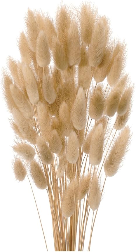 Amazon 大地農園 ドライフラワー ラグラス g入り N Do450 000 ドライフラワー オンライン通販