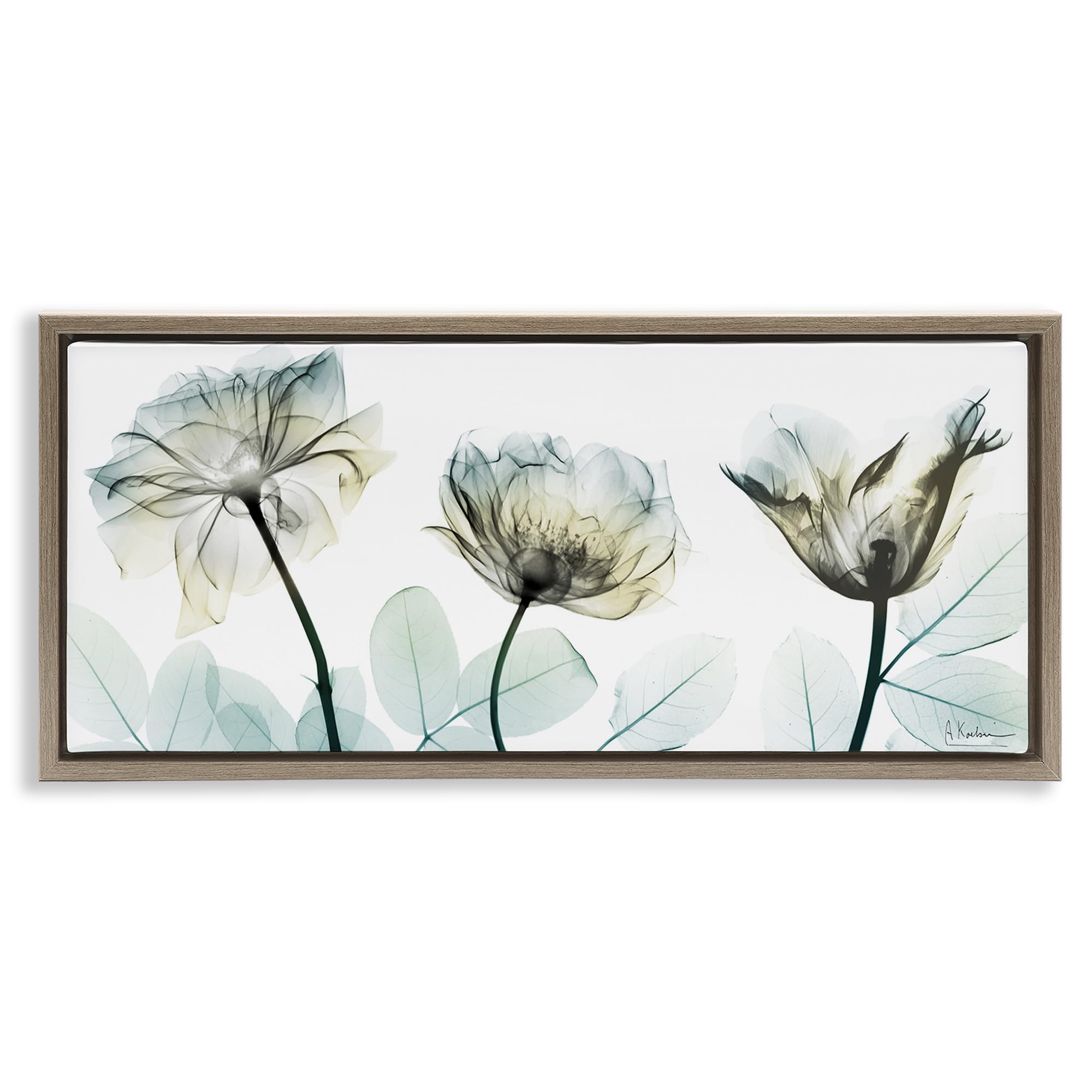 Stupell Industries Montalcino Elm (Textured) Floral Still Life Botanical Elegance, 10 X 24 Inch Canvas In Floater Frame